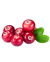 Vörös áfonya